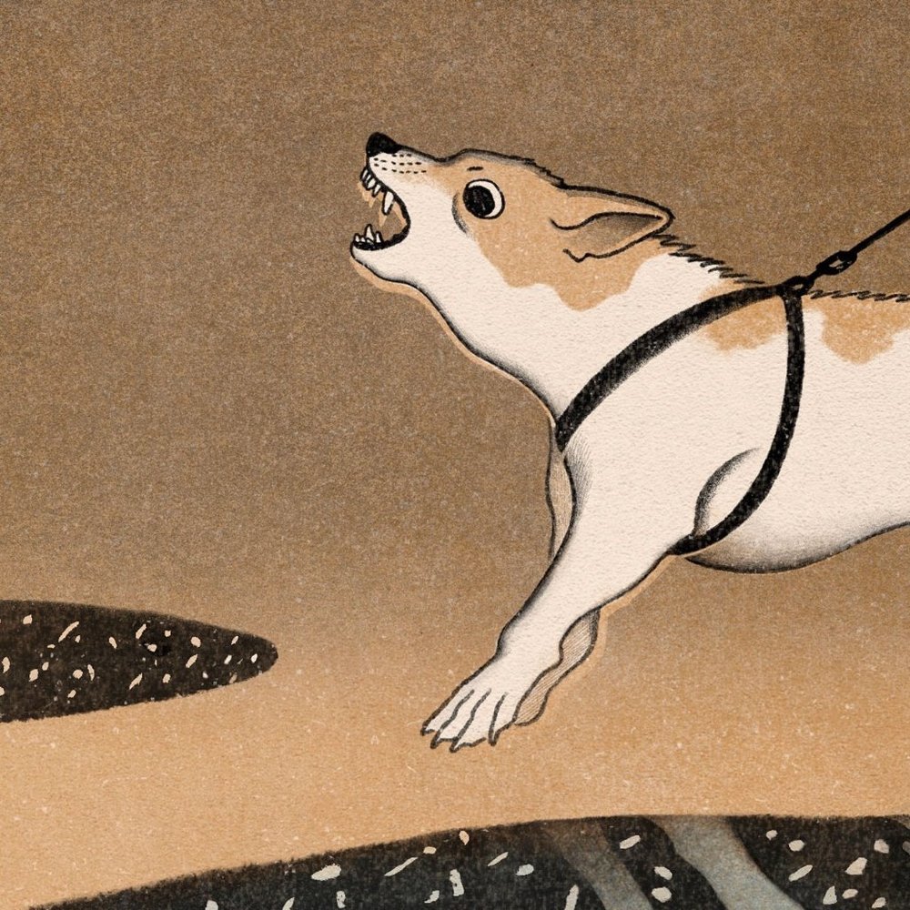 Meet your Posher, Caroline